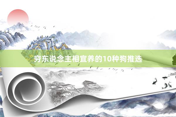 穷东说念主相宜养的10种狗推选